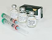 H1N1 Influenza Vaccine