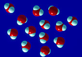 Water Molecules