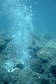 Underwater Hydrothermal Vent