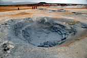 Icelandic Mud Pool