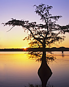 Sunset at Reelfoot Lake