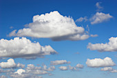 Cumulus Mediocris Clouds
