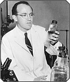 Jonas Salk