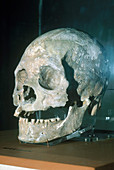 Del Mar Woman Skull