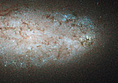 Star-Birth in NGC 2976 Spiral Galaxy