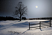 Winter Full Moon