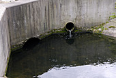 Sewage Treatment Outflow