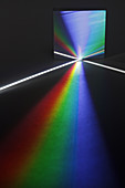 White Light Dispersed by a Diffraction Gr