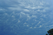 Mammatus Cloud