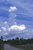 Swelling Cumulus Clouds