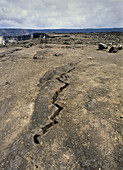 Earthquake Fissure