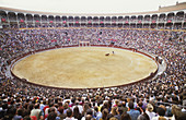 Bull Fighting,Spain