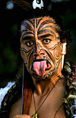Maori Native Man,New Zealand