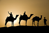 Camel caravan,India