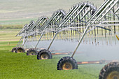Agricultural Sprinkler Irrigation