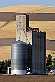 Grain Growers Elevator and Silo