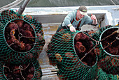 Urchin Fishing Boat,Oregon,USA