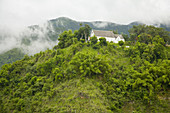 Blue Mountains,Jamaica