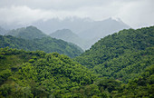 Rio Grande Valley,Jamaica