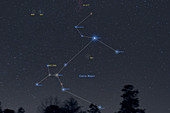 Canis Major Annotated