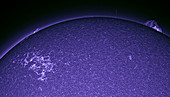 The Sun's lower chromosphere