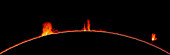 Solar prominences