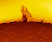 Solar prominence
