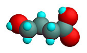 GHB Molecular Model