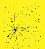 Particle Tracks
