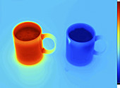 Thermogram of hot and cold water
