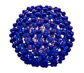 3D Model of Nested Buckyball Molecules
