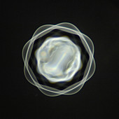 1 mm vibrating bubble