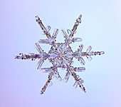 Snowflake