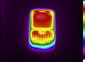 Thermogram of a Blackberry