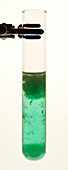 Nickel(II) Hydroxide Precipitate