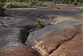 Soil Erosion