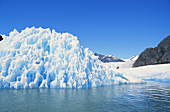 Ice at LeConte Glacier,Alaska
