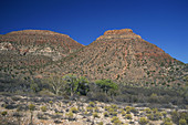 Verde River Valley,Arizona,USA