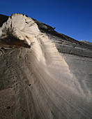 Petrified Sand Dune,Utah,USA