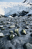 Coxe Glacier