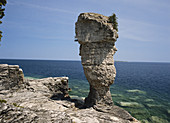 Flowerpot Formation,Ontario,USA