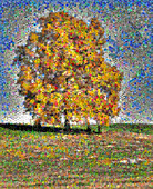 HIckory Tree Mosaic