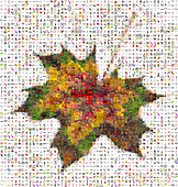 Leaf Mosaic