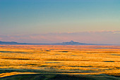 Dawn,Alberta Prairie,Red Rock Coulee