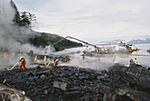 Cleanup After Exxon-Valdez Spill