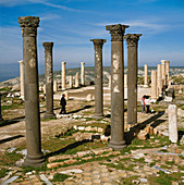 Roman Columns,Jordan