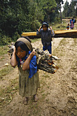 Children Carrying Firewood,Mexico