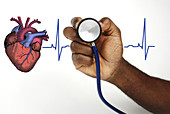 Human Heartbeat