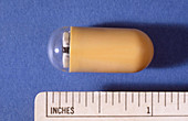 Capsule Endoscopy Pill