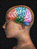 Superimposed Brain Mosaic